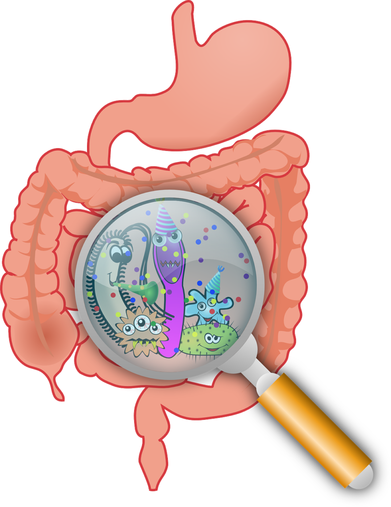 dietary-issues causes constipation