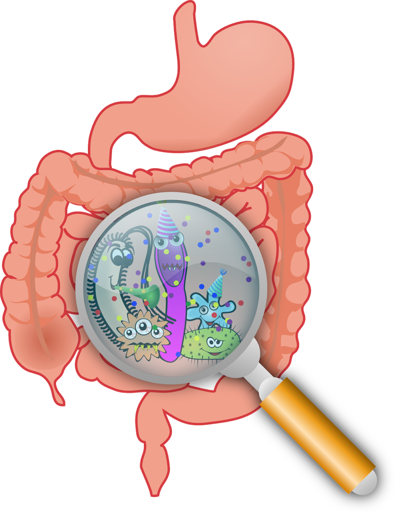 Gut health improved by Vitamin D nutrition supplement